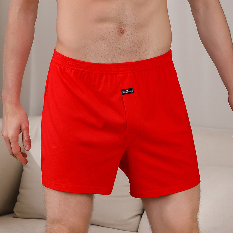 1PCS Men's Underwear Aro Pants - огляд і ціна Boxer Brief Pack Cotton