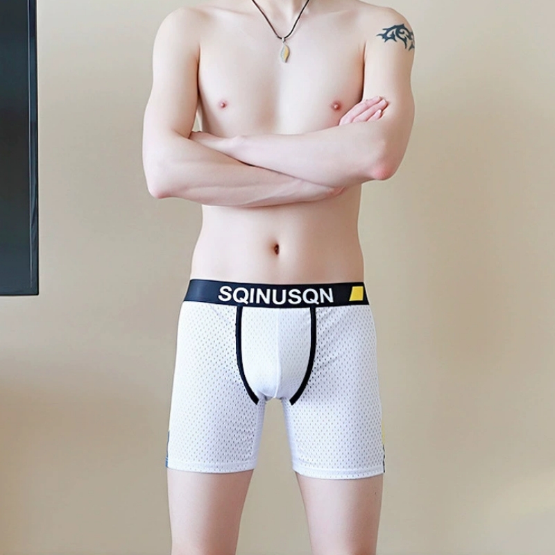 Men's Ice Silk Mesh Boxer Brie - огляд і ціна Long Leg Trunk Men
