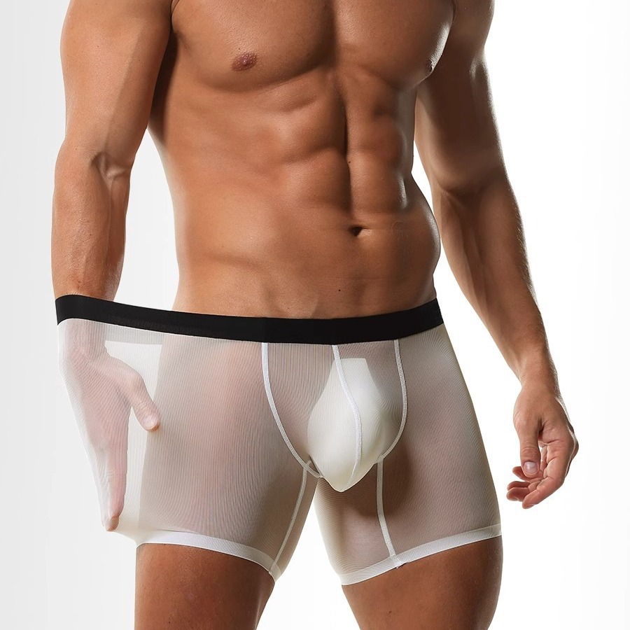 Ice Silk Sheer Mesh Long Leg B - огляд і ціна Long Leg Trunk Men